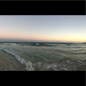 Meet your Posher, Paige